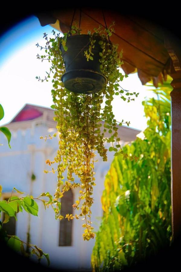 Garden Lodge ザンジバルシティ エクステリア 写真