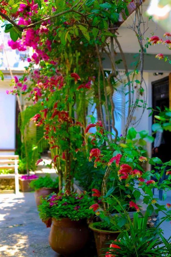 Garden Lodge ザンジバルシティ エクステリア 写真